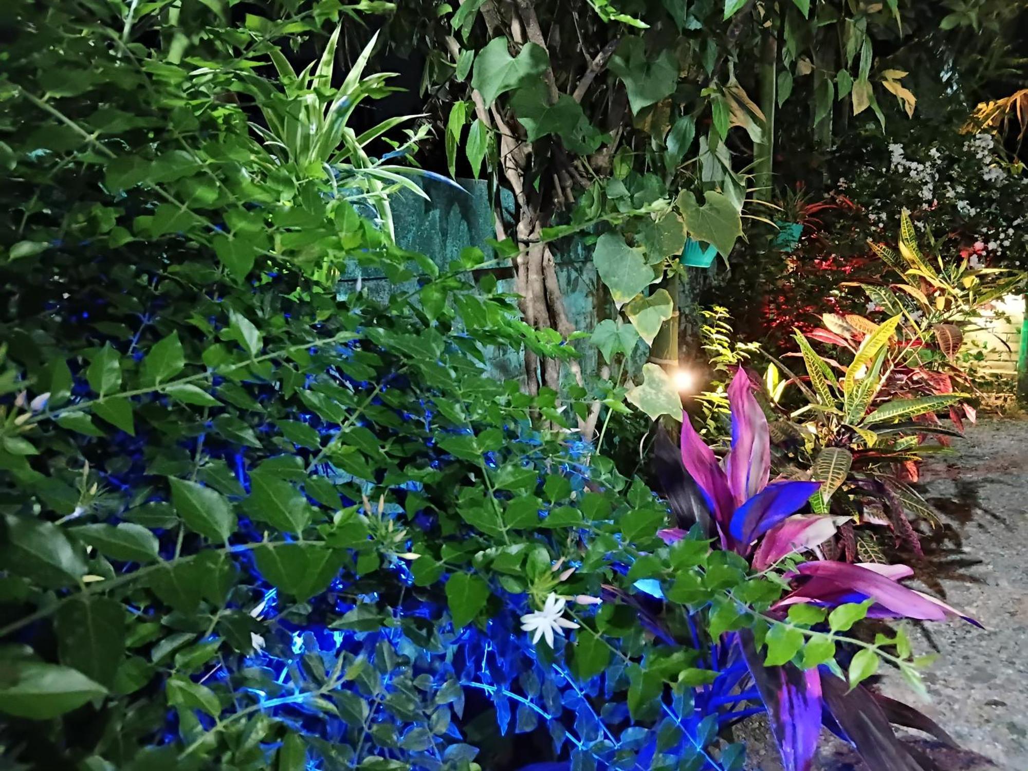 Green View Homestay 西里古里 外观 照片